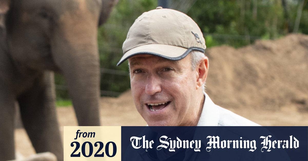 Coronavirus Australia Taronga Zoo launches streaming service after